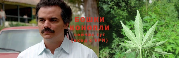 спайс Алзамай
