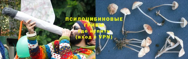 спайс Алзамай